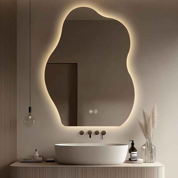 Dolphin shape Backlit LED Mirror 24*30 inch